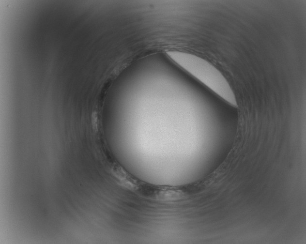 X0000073520716200607310950