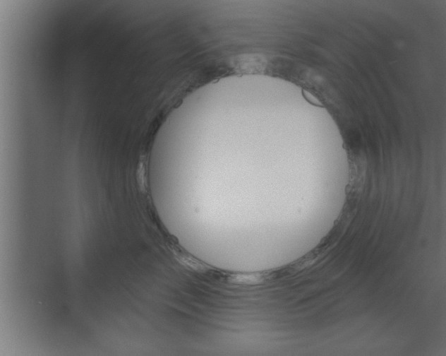 X0000073520717200607310950