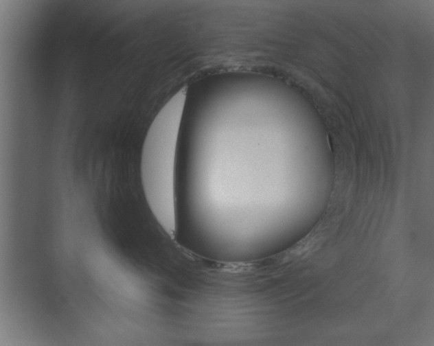 X0000073520720200607310949