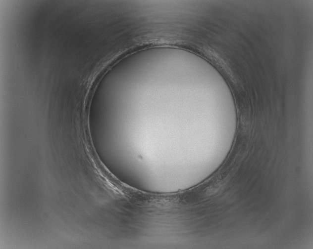 X0000073520721200607310949