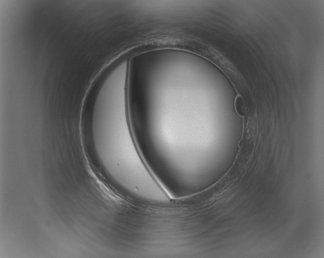 X0000073520722200607310949