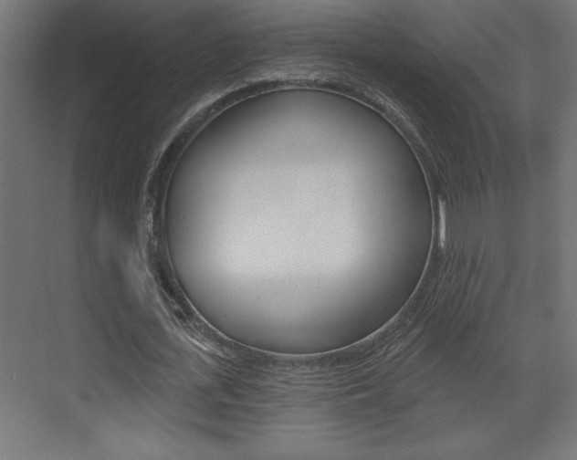X0000073520723200607310949