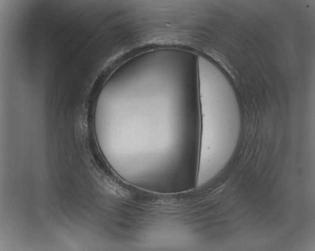 X0000073520727200607310949