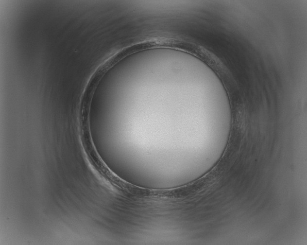 X0000073520730200607310949