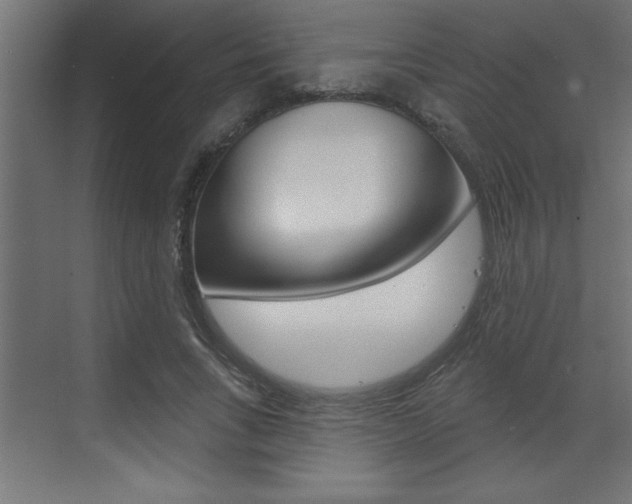X0000073520735200607310949