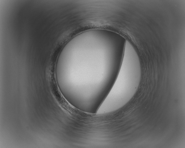 X0000073520736200607310949