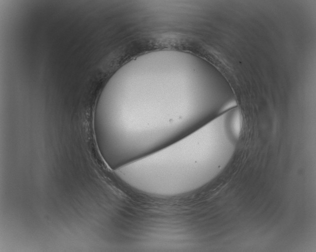 X0000073520737200607310949