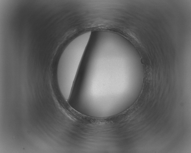 X0000073520738200607310949