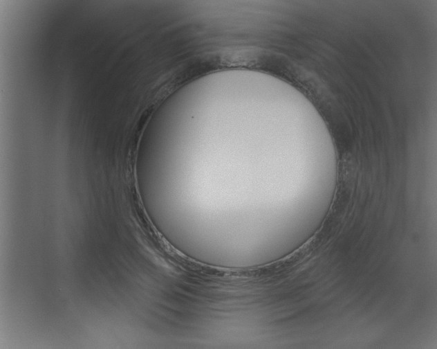 X0000073520741200607310949