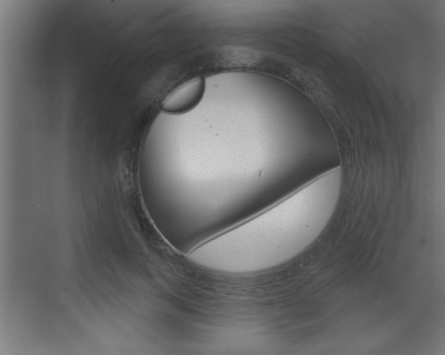 X0000073520743200607310949