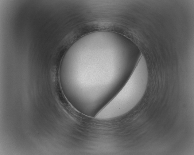 X0000073520744200607310949