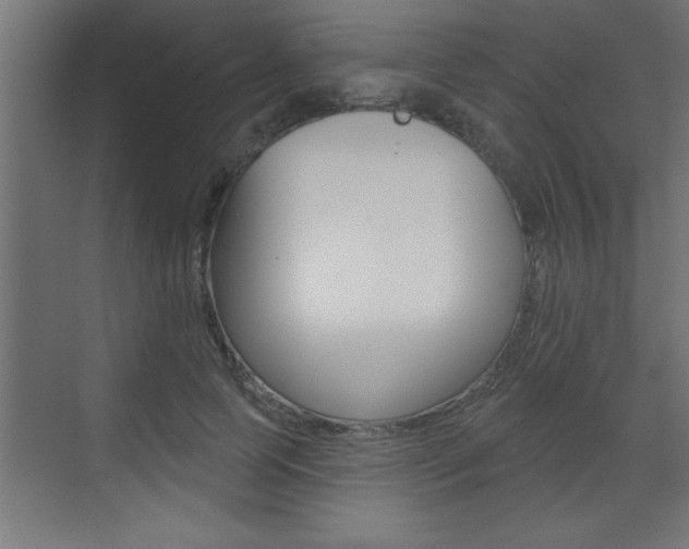 X0000073520745200607310949