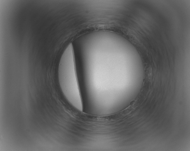 X0000073520746200607310949
