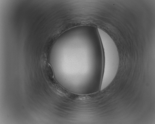 X0000073520752200607310949