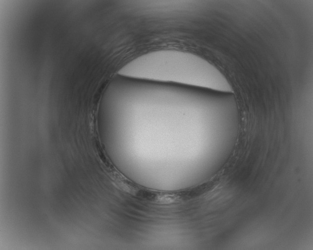 X0000073520753200607310949