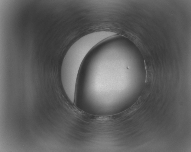 X0000073520762200607310949