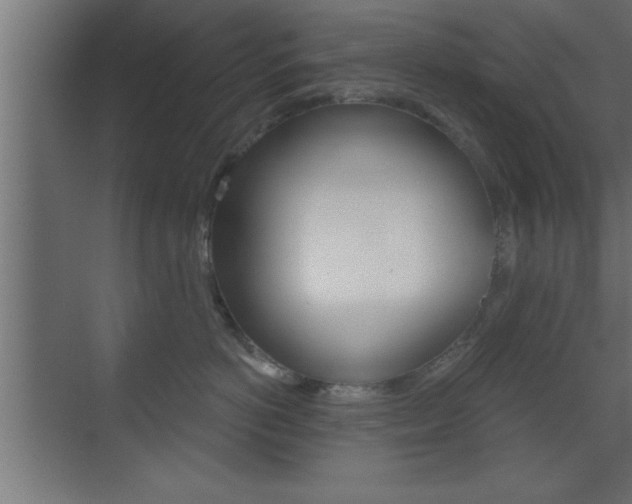 X0000073520766200607310949