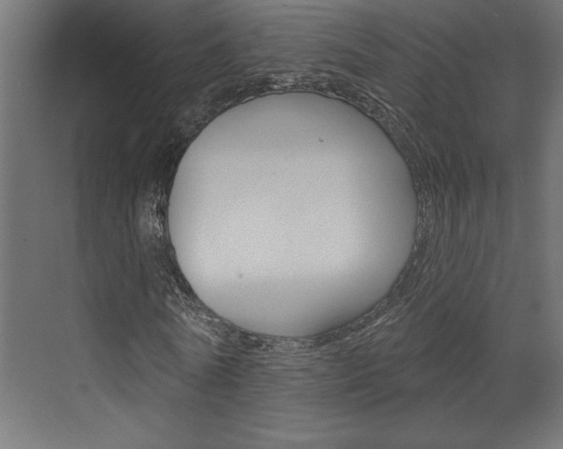 X0000073520770200607310949