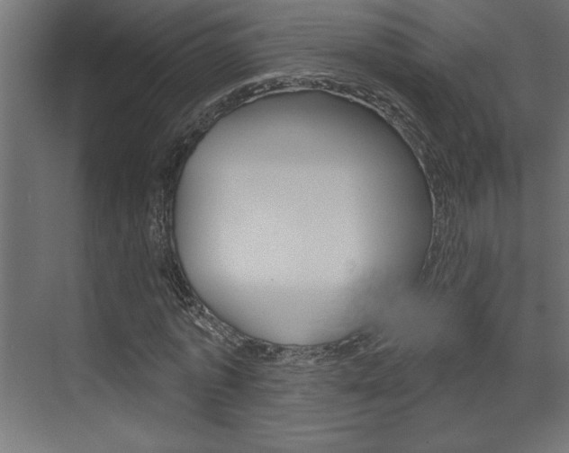 X0000073520773200607310949
