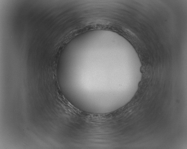 X0000073520774200607310949