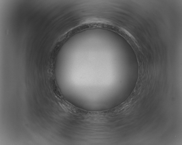 X0000073520775200607310949