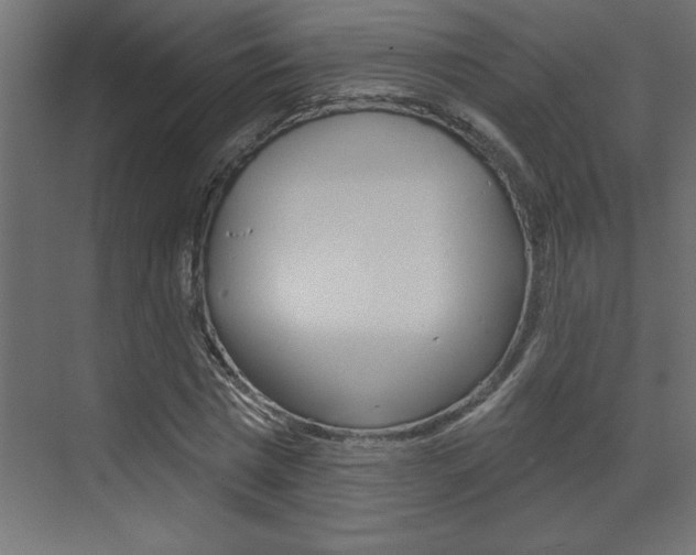 X0000073520777200607310949