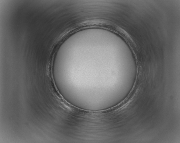 X0000073520778200607310948