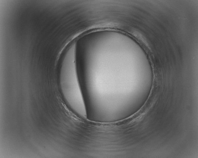 X0000073520781200607310948