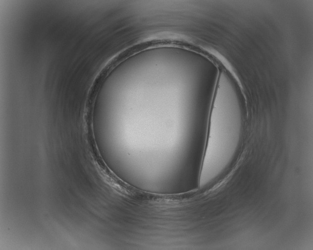 X0000073520783200607310948