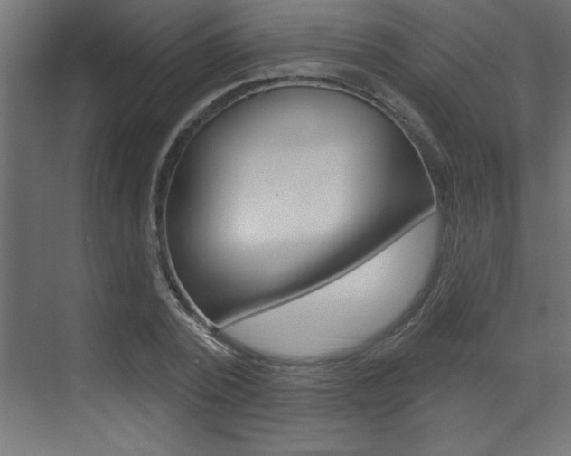 X0000073520784200607310948