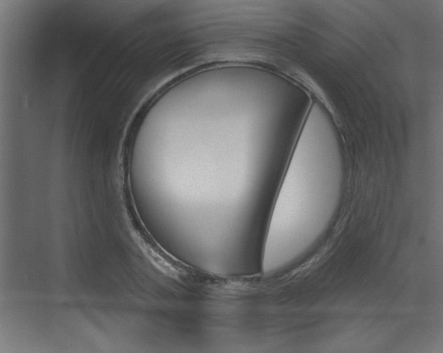 X0000073520787200607310948