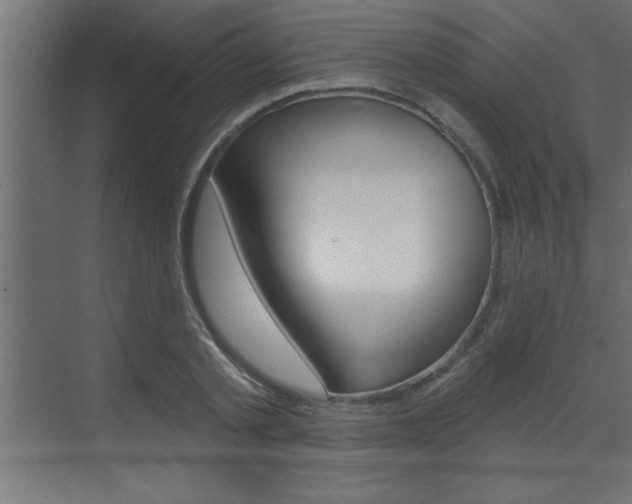 X0000073520789200607310948