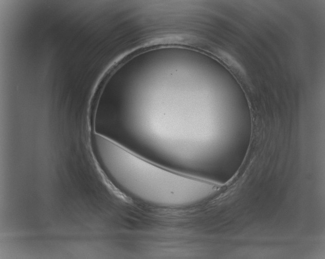 X0000073520792200607310948