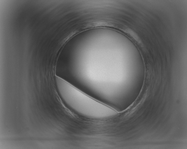 X0000073520793200607310948
