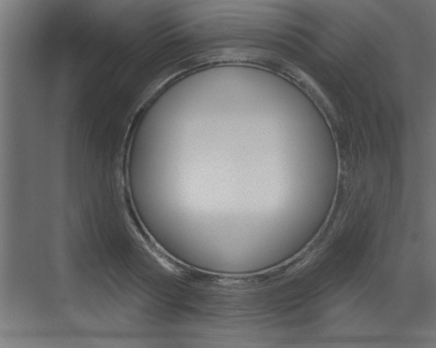 X0000073520794200607310948