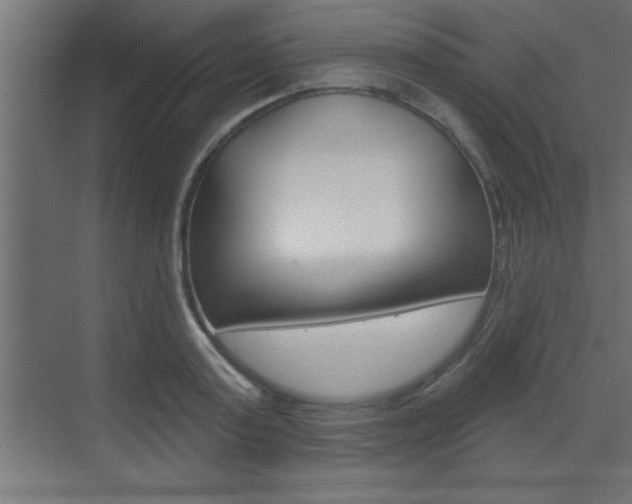 X0000073520795200607310948