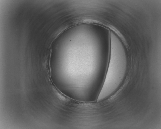 X0000073520801200607310948