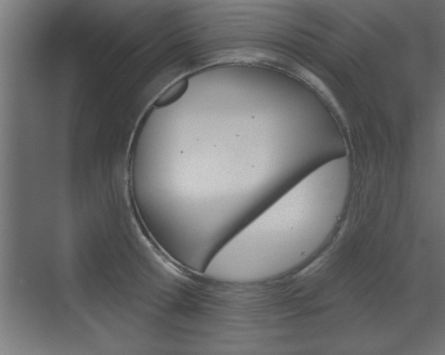 X0000073520802200607310948
