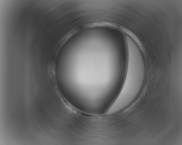 X0000073520809200607310948