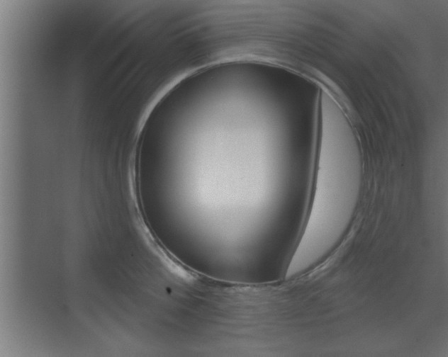 X0000073520812200607310948