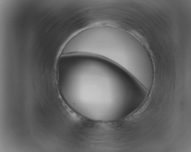 X0000073520816200607310948