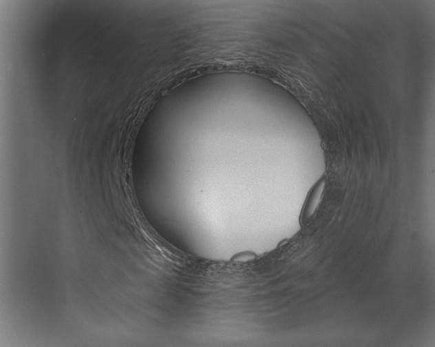 X0000073520817200607310947