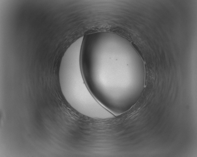 X0000073520818200607310947