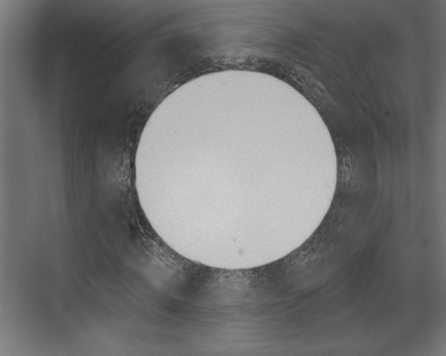 X0000073520820200607310947