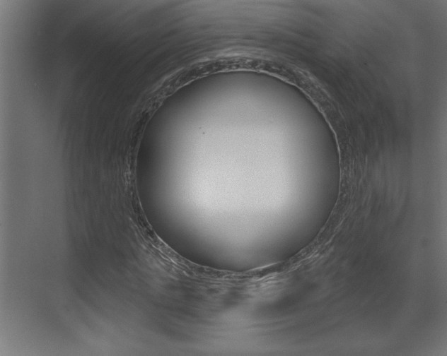 X0000073520821200607310947