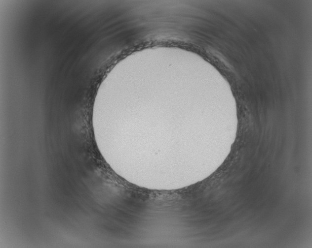 X0000073520824200607310947