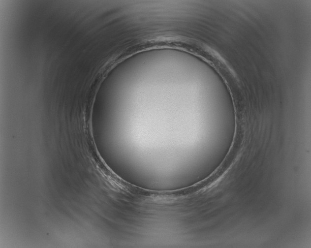 X0000073520825200607310947