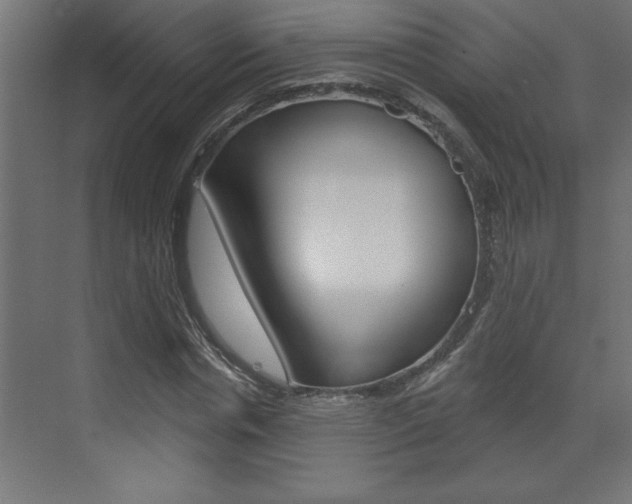 X0000073520826200607310947