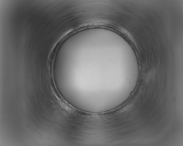 X0000073520827200607310947