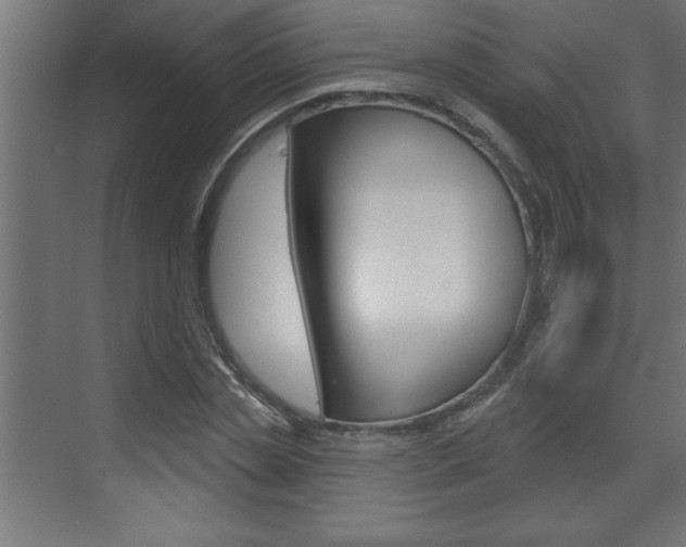 X0000073520829200607310947